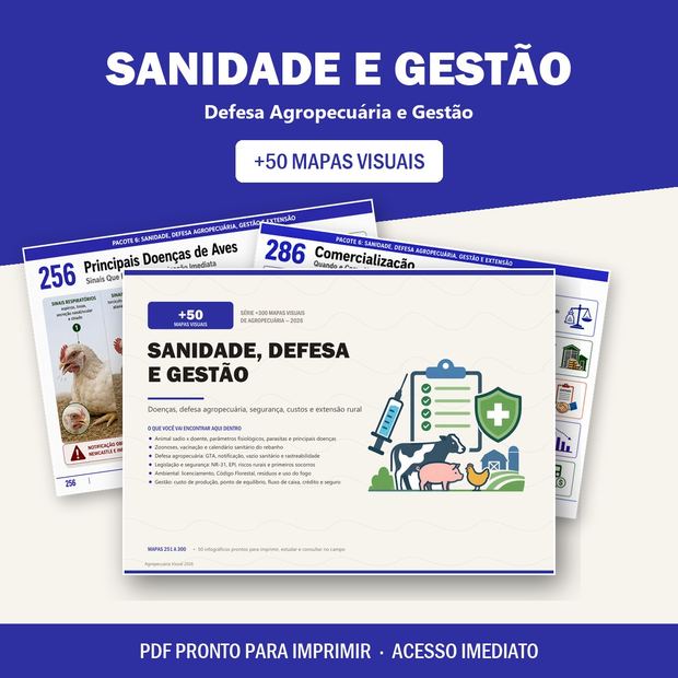 Bloco Sanidade e Gestão